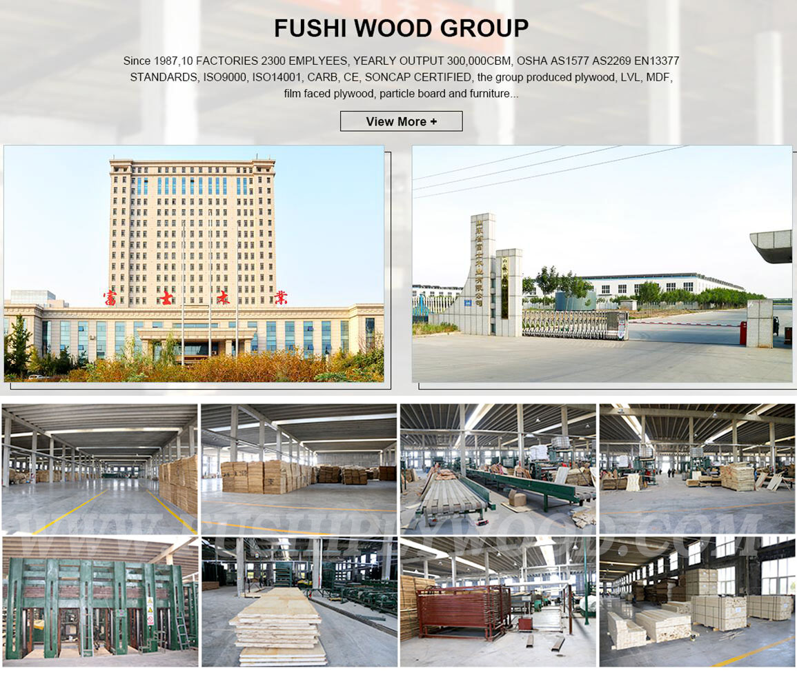 Fushi Wood Group New Factory