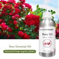 Fragancia de larga duración líquido Pure Rose Oil 1 kg Sweet Dream Oil esencial