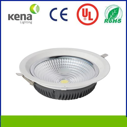 30W LED Downlight in Shenzhen