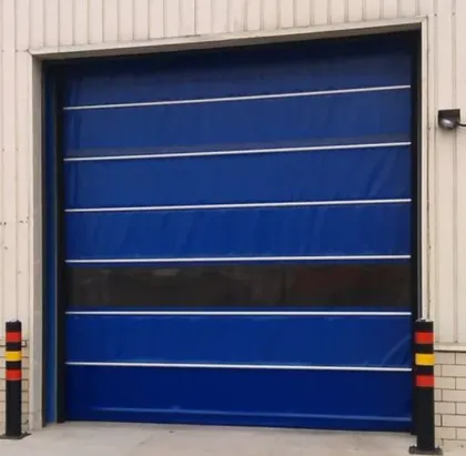Workshop Automatic Door with Purification