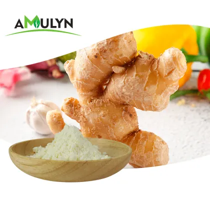 Zingiber officinale Extract Ginger Root Extract Powder