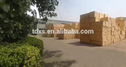 Extruded Polystyrene Insulation Board/XPS Insulation Board