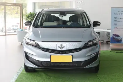 Maple Leaf 80v Pro 2022 New Energy Vehicle