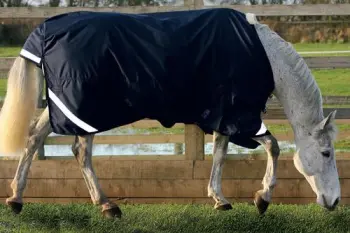 Waterproof and Breathabale Turnout Horse Rug (SMR1615)