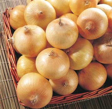 Chinese Fresh Yellow Onion (2014)