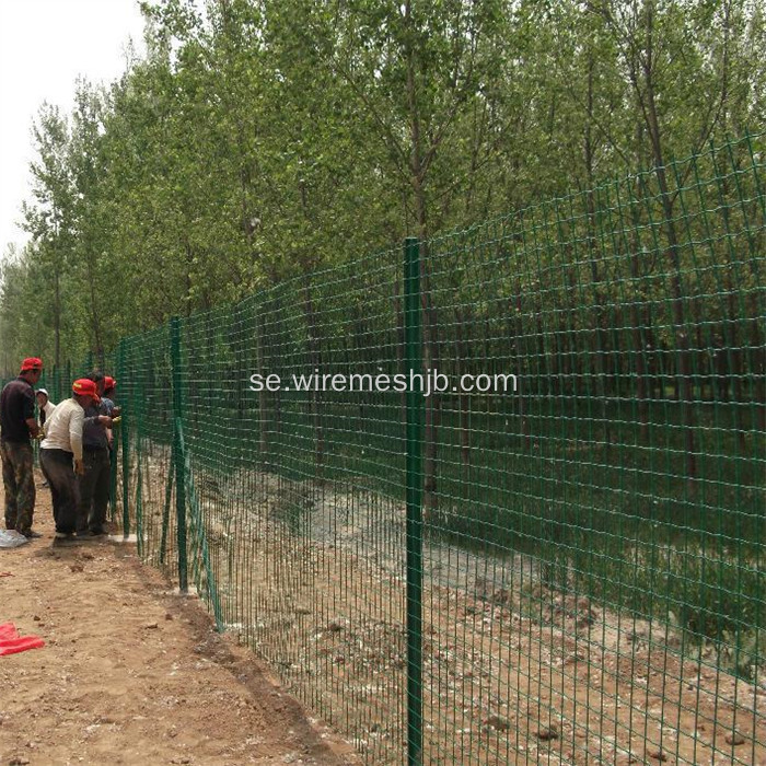 PVC Coated Holland Wire Mesh Fence