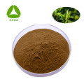 Black tea extract powder 10:1 Theaflavin