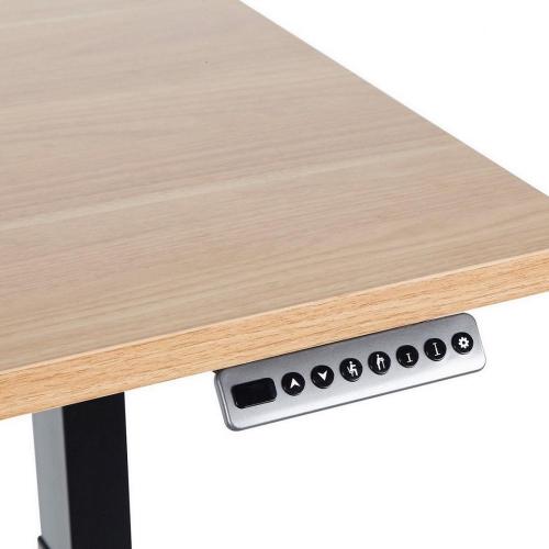 Hot Sell Adjustable Standing Electric Standing Desk