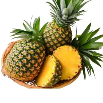 Sweet Juicy Fresh Pineapple