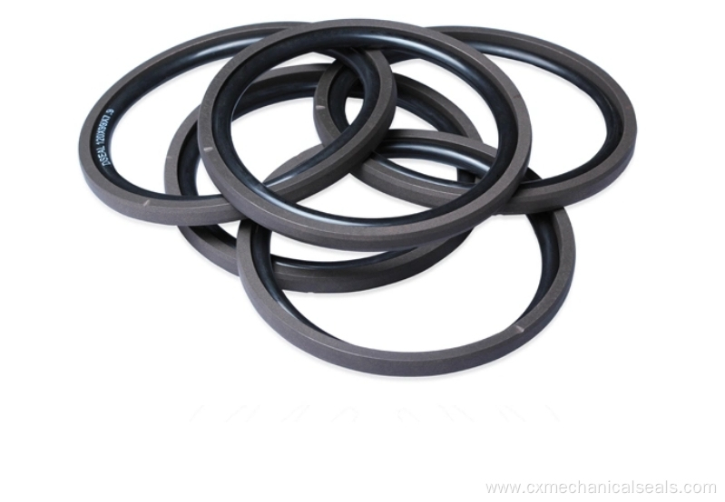 PTFE Hydraulic Piston Double Acting Oil Seal