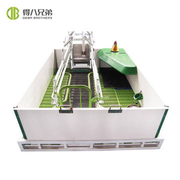 Best Quality Classical Style Farrowing Crates for Pig Farming