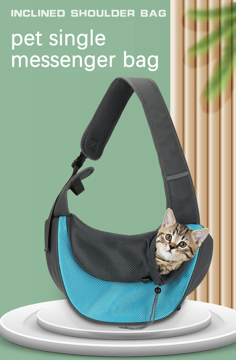 Pet Travel Carrier