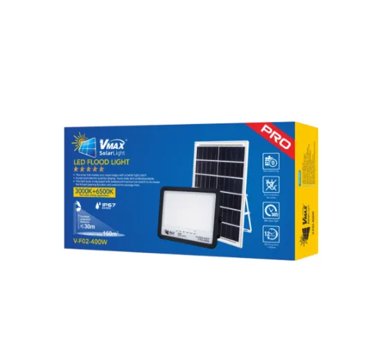 Solar street light with multiple control switches