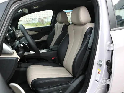 2025 BYD Dolphin Small Pure Electric Hatchback