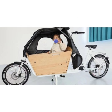 Houten elektrische driewielwagen fiets met kinderbox voor levering van e-cargo