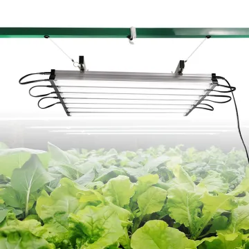 Indoor Greenhouse Kit with ROHS 12W LED Bar 6500K Grow Light for Home Hobbyist Cultivation