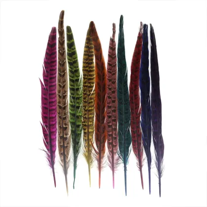 Natural Ring Neck Hen Pheasant Tail Feathers for Fly Tying Nymphs and Wet Fly Wings
