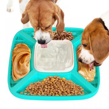 pet feeders for dog