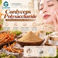 Cordyceps Polysaccharide 20%–60% Extracto en polvo para formulaciones cosméticas y alimentarias