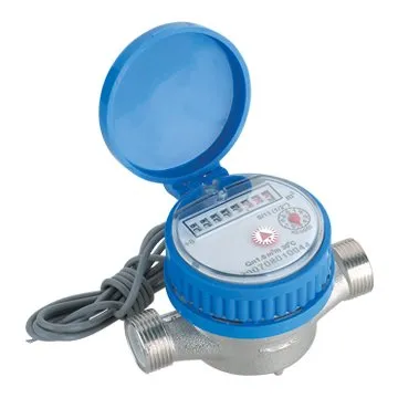 Electronic Remote-Reading Water Meter