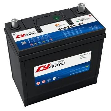 Maintenance-Free Auto Battery 55B24R 12V 45Ah