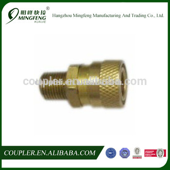 Professional high quality Brass hydraulic quick coupler 1/8"BSP