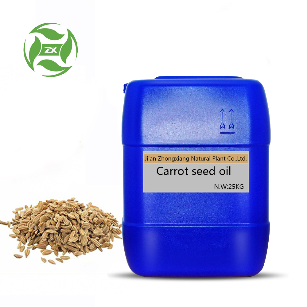 Factory Supply 100% Pure Carrot Seed Essential Oil