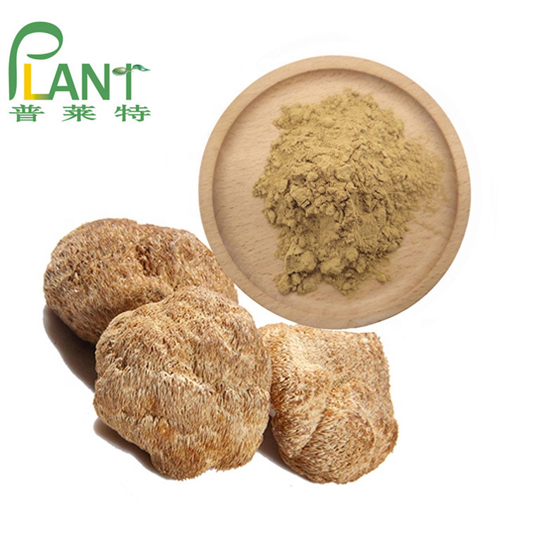 Lion S Mane Mushroom Extract