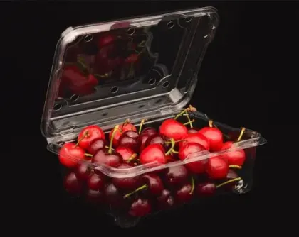 the PET box for meat and vegetale meat plate display and stocking