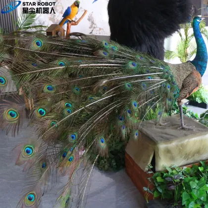 Real Peacock Feathers Animatronic Peacock for Sale