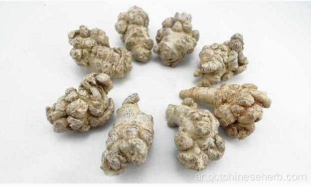 Notoginseng Radix Et Rhizoma