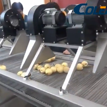 Procesamiento de vegetales Máquina de secado industrial de frutas