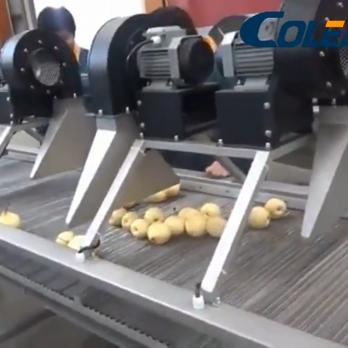 Traitement des légumes Machine de séchage des fruits industriels