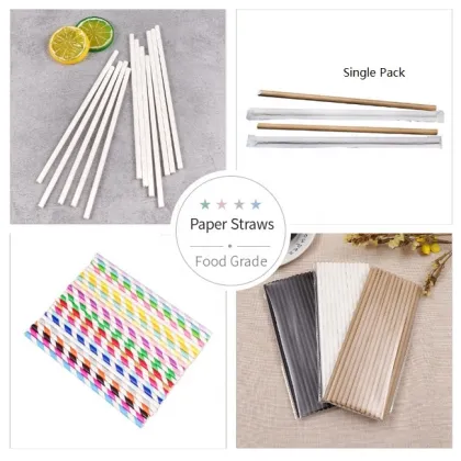 Biodegradable Paper Straw Manufacturing Machines: Making and Packing Equipment
