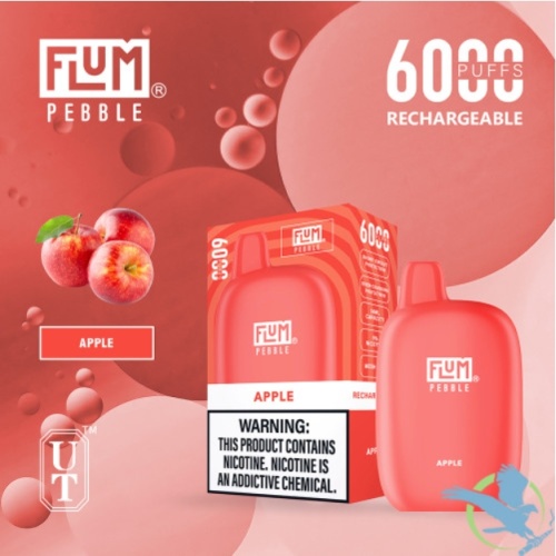 FLUM PEBBLE vape 6000puffs