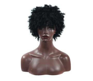 AliLeader Short Afro Curly Synthetic Hair Wigs For Black Woman