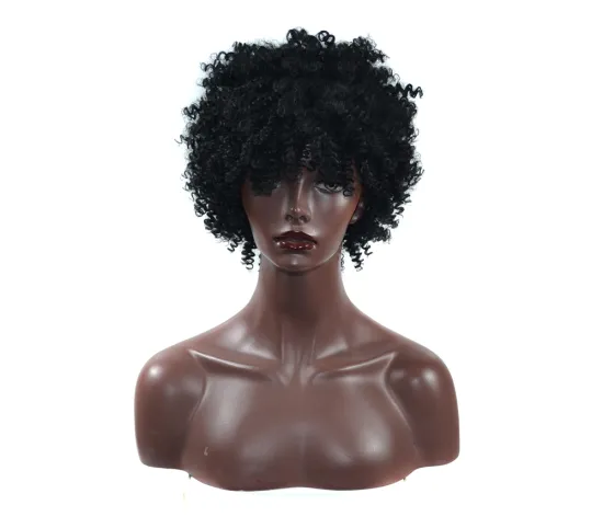 AliLeader Short Afro Curly Synthetic Hair Wigs For Black Woman