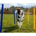 28 Piece Dog Obstacle Course for Training