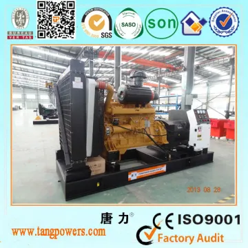 High quality 200kw diesel generator Shanghai Diesel with Tangpower