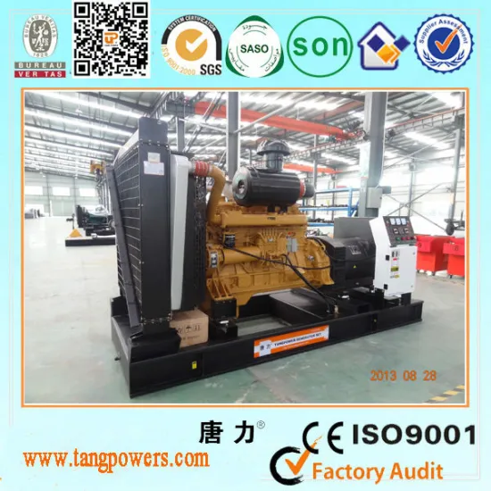 High quality 200kw diesel generator Shanghai Diesel with Tangpower