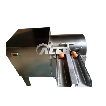 Professional Commercial Egg Cleaner Washer for Efficient Egg Processing Lines