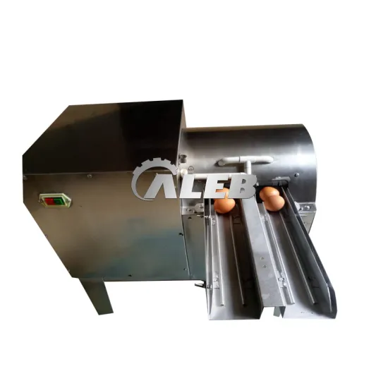 Professional Commercial Egg Cleaner Washer for Efficient Egg Processing Lines