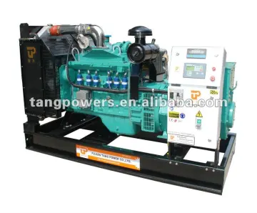 With Cummins Natural gas genset