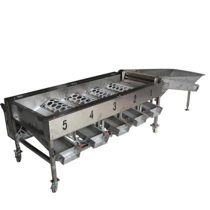 Commercial Longan Fruit Sorter Grader