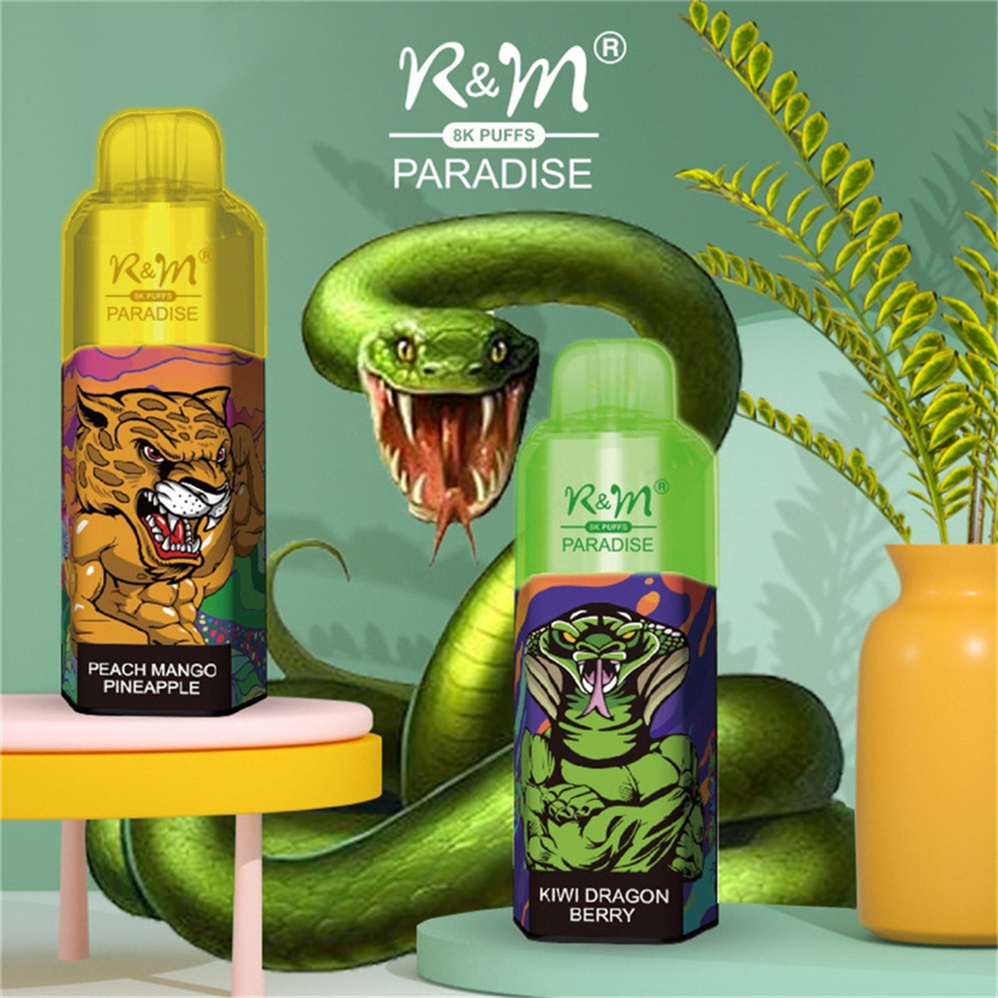 Hot Sale Disposable Vape R&M Paradise 8000 Puffs