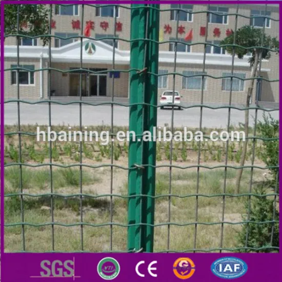 Netherlands net / safety fence