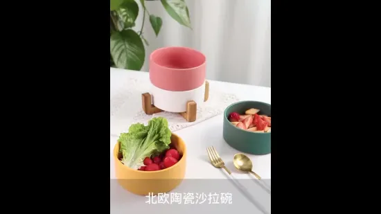 Conventional  Large Customized Porcelain Bowls Matte Salad Bowl