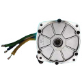 brushless dc motor