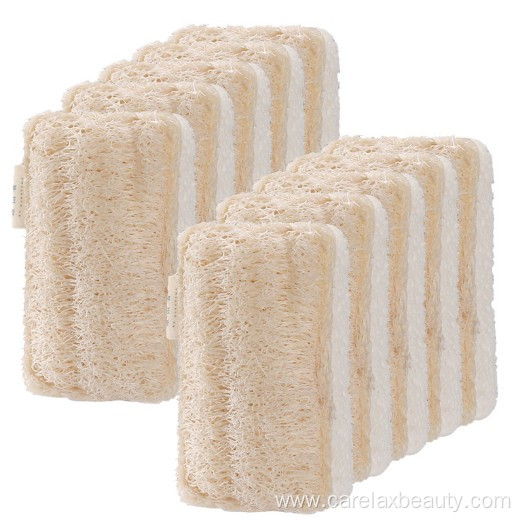 Kitchen sponge Cellulose & Loofah sponge for dish