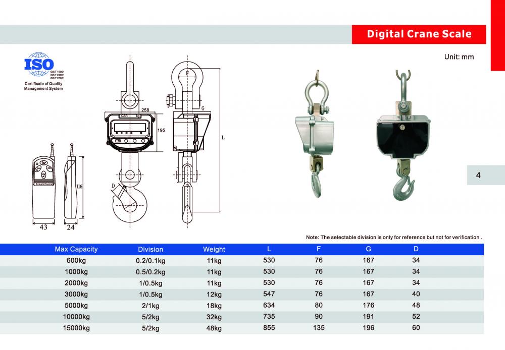 digital crane scale